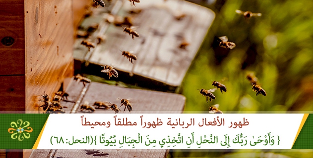 ظهور الافعال الربانية ظهوراً مطلقاً ومحيطاً