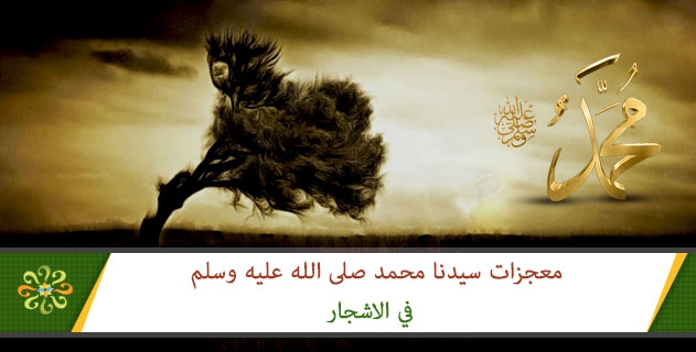 معجزات الرسول صلى الله عليه وسلم في الاشجار